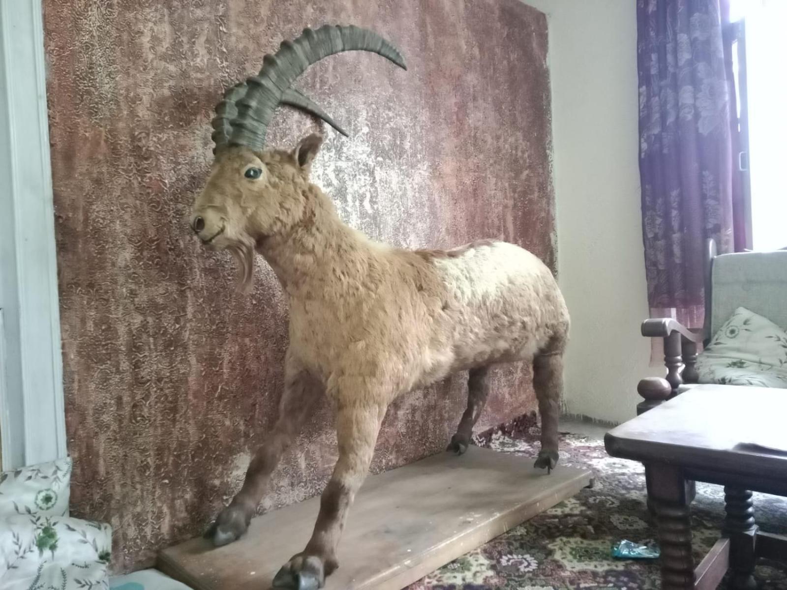 GOLDEN IBEX Guesthouse Skardu Extérieur photo